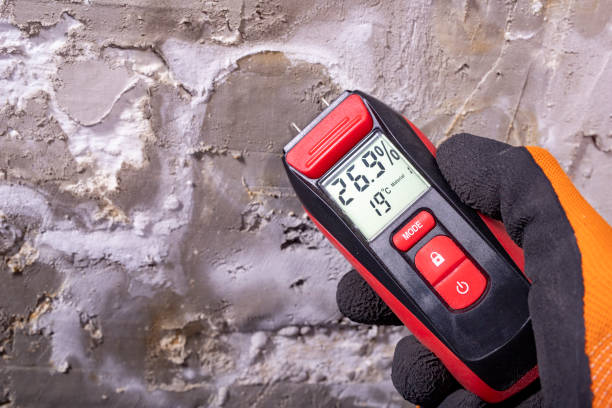 Best Mold Remediation Services  in West Hazleton, PA