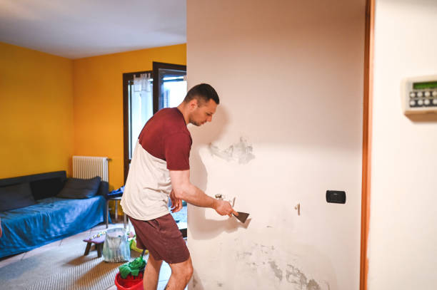 Best Commercial Mold Removal  in West Hazleton, PA