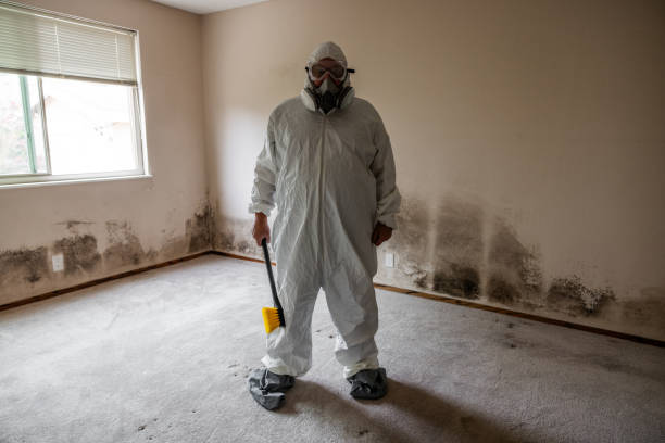 Crawl Space Mold Removal in West Hazleton, PA